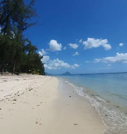 Coconut Bay Apartments